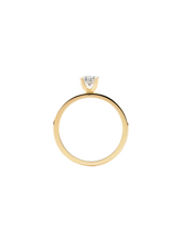 Load image into Gallery viewer, c22c4d57-6bc9-467d-ae4e-f53e9fb336f8:2:pack:women