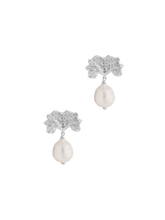 Load image into Gallery viewer, 1f17c583-f05b-46d2-b3a1-296ee696655f:5:pack:women