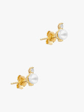Load image into Gallery viewer, de4c58ca-4b5b-424c-9090-81d2b993391e:2:pack:women