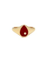 Load image into Gallery viewer, 8db2937e-1ad1-41f7-8480-fdf3a2e9a6fc:2:pack:women
