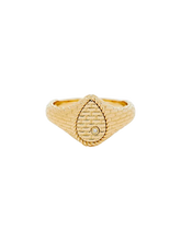 Load image into Gallery viewer, ff724d69-a6f8-47c5-9a6d-1760a1711210:2:pack:women
