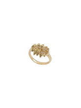 Load image into Gallery viewer, 8aefe44f-fe3b-4565-a5d4-4d2f77d5e202:1:pack:women
