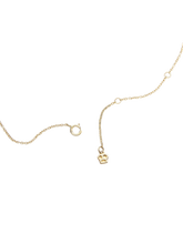 Load image into Gallery viewer, 542f758e-a532-4dee-8d7d-f41fb15a3b07:2:pack:women
