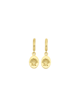 Load image into Gallery viewer, 0a43598e-d44a-4057-b36f-c4b83dac44c0:1:pack:women
