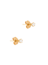 Load image into Gallery viewer, 62506d8a-eaa5-445c-af87-93826cb0f15e:2:pack:women
